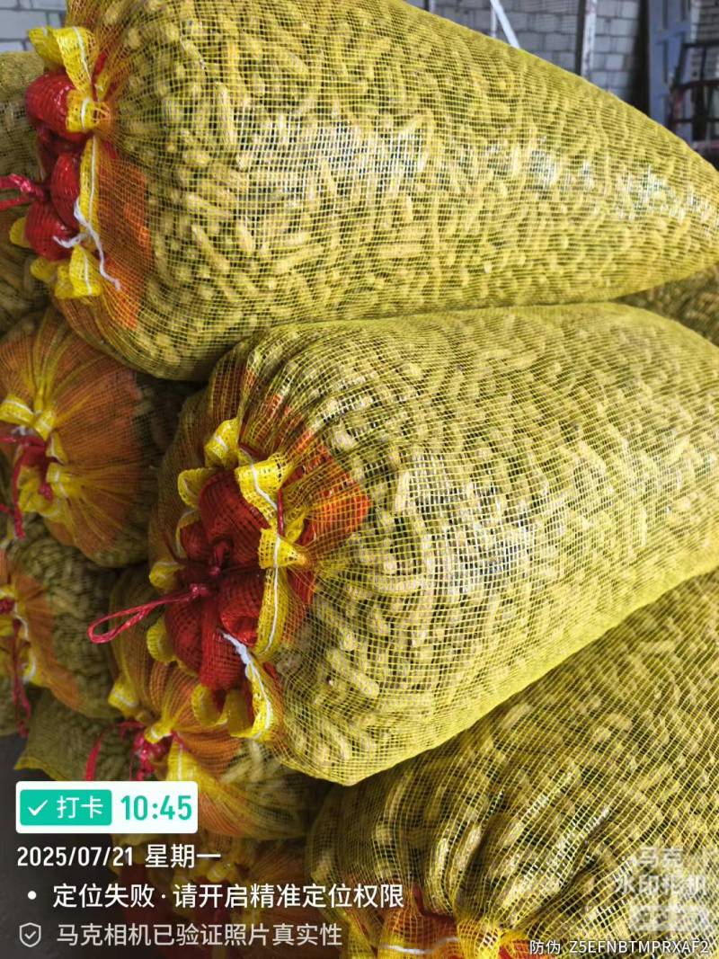 湖北鲜花生大量有货，湿花生，白沙果大量有货