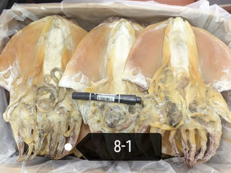 浙江东海特大墨鱼干，肉质肥厚口感鲜嫩，适合炖汤，爆炒