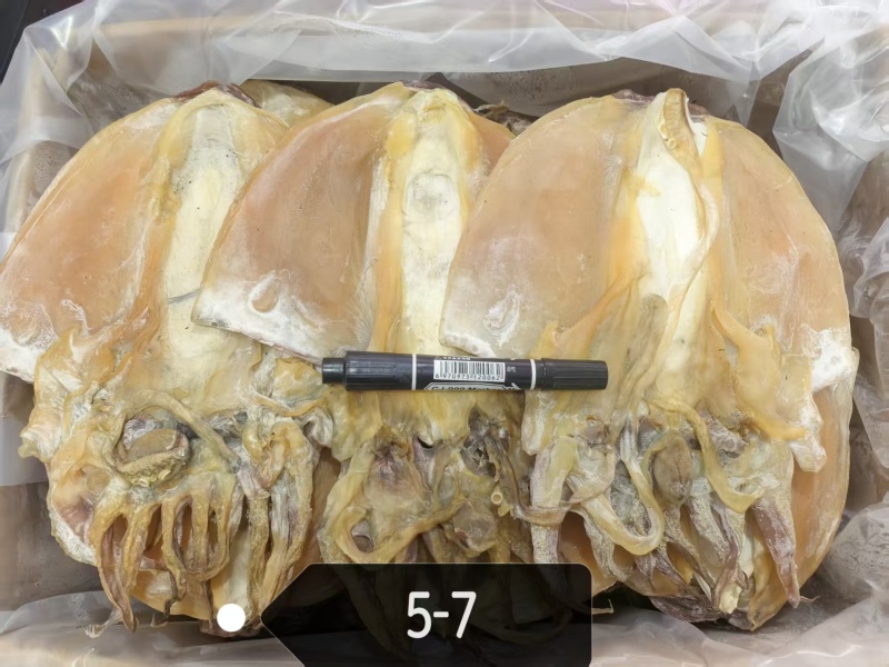 浙江东海特大墨鱼干，肉质肥厚口感鲜嫩，适合炖汤，爆炒