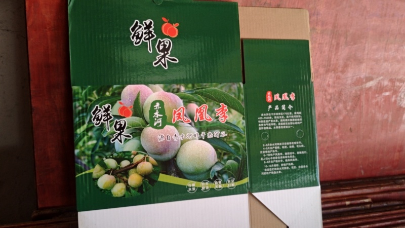 乌蒙山凤凰李