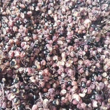 云南红花椒干货今年的新货干货有味特麻特香货源充足可批可零