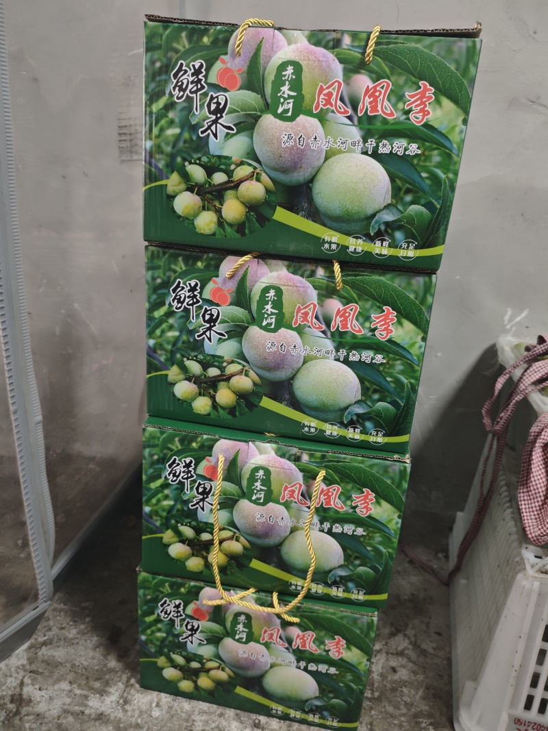 乌蒙山凤凰李
