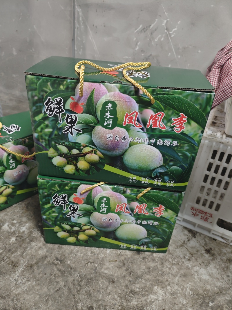 乌蒙山凤凰李