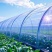 大棚膜塑料薄膜无滴膜长寿膜葡萄专用膜避雨棚膜