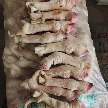 小羊蹄，3两左右一个