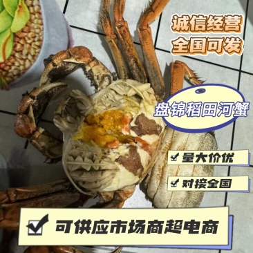 【实力供货】盘锦稻田蟹河蟹一手货源量大优惠全国可发