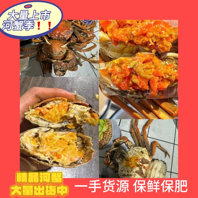 盘锦河蟹产地直发按需分拣包装支持定制供应电商社区团购