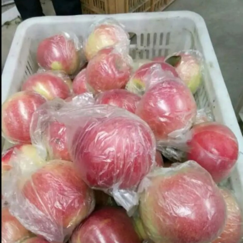 嘎拉苹果美八苹果鲁丽苹果大量上现采现摘大量有货