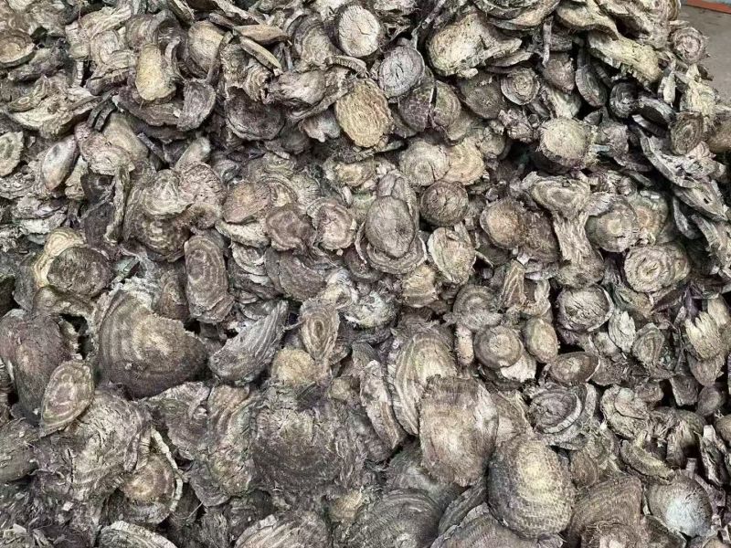 欢迎联系正规货源精品葛根**供应
