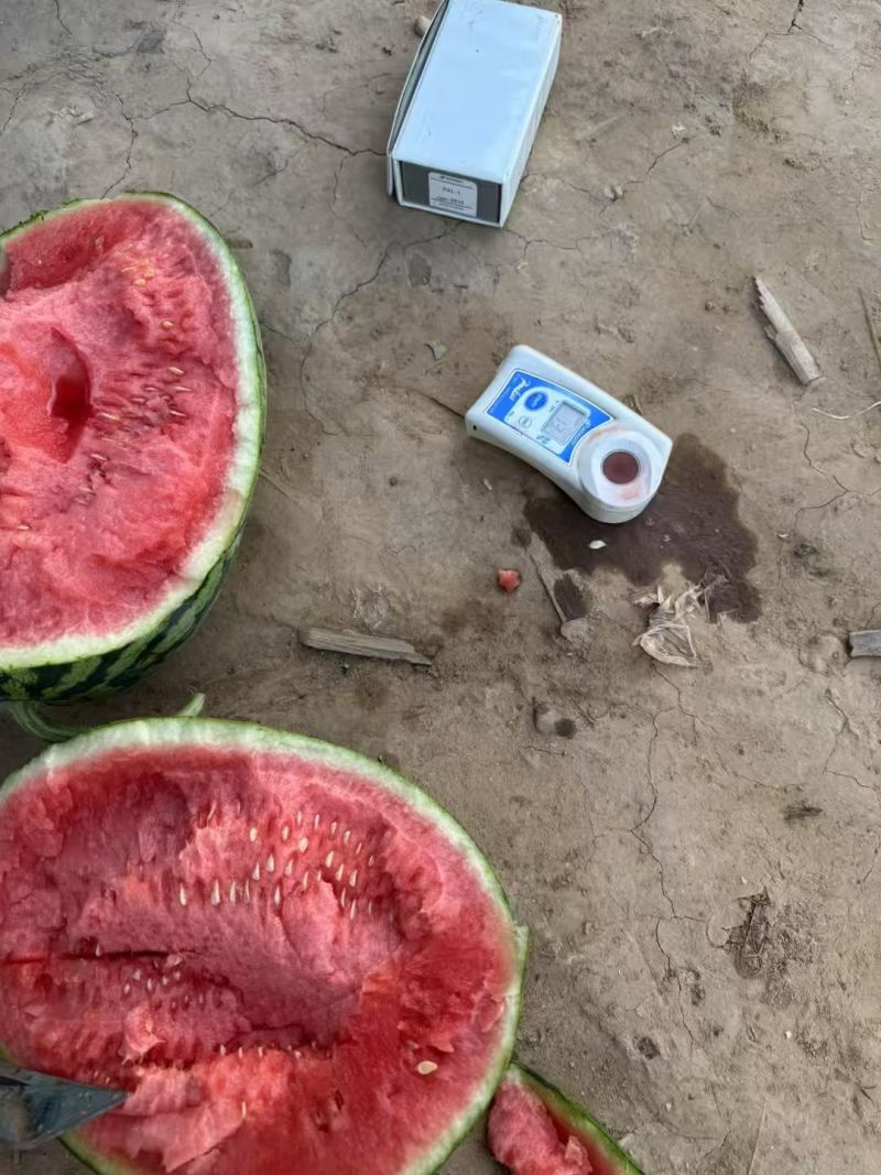 精品美都