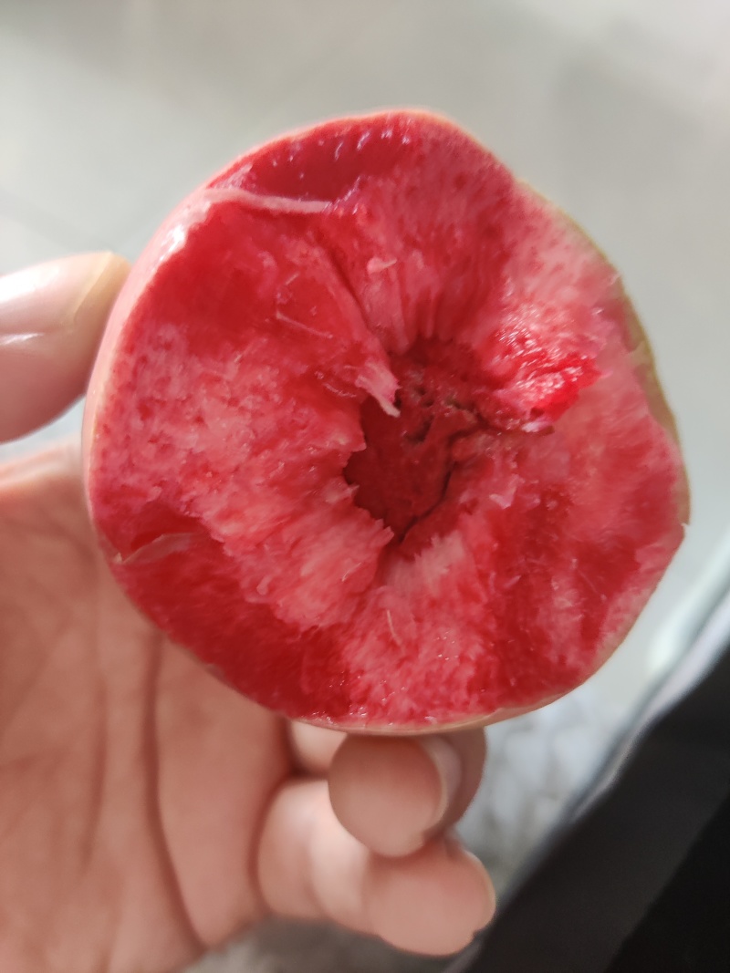 莱芜朱砂桃