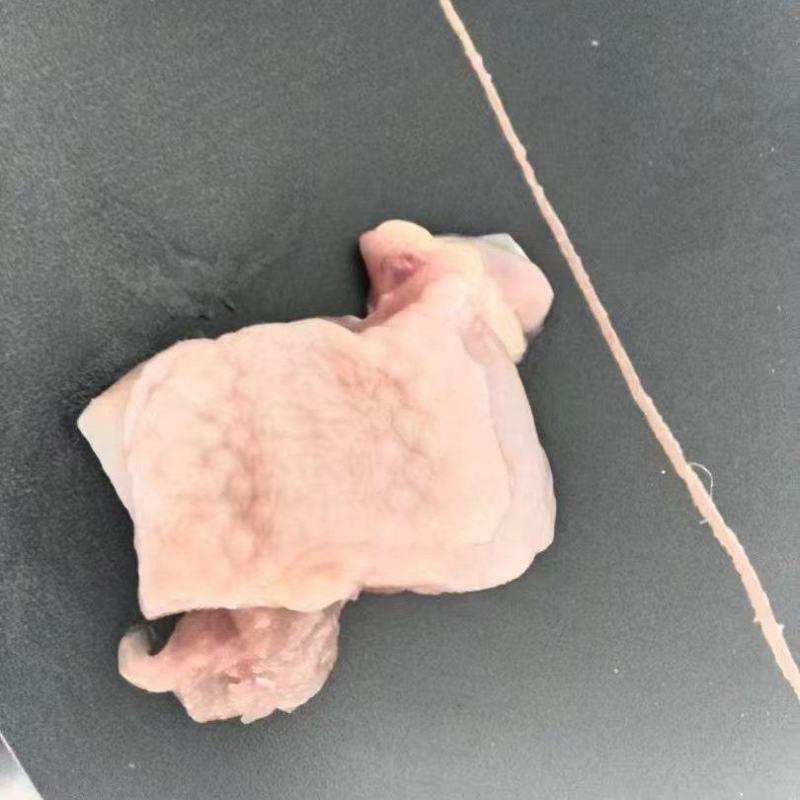 老鸡块