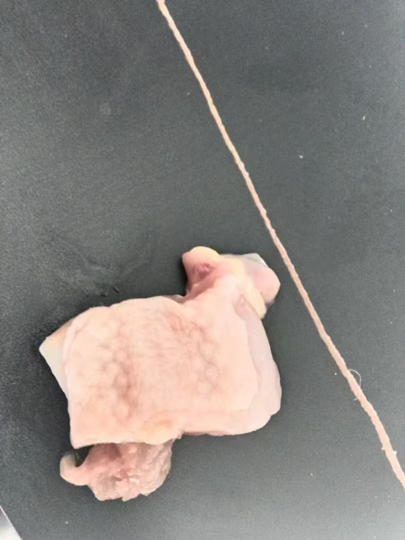 老鸡块