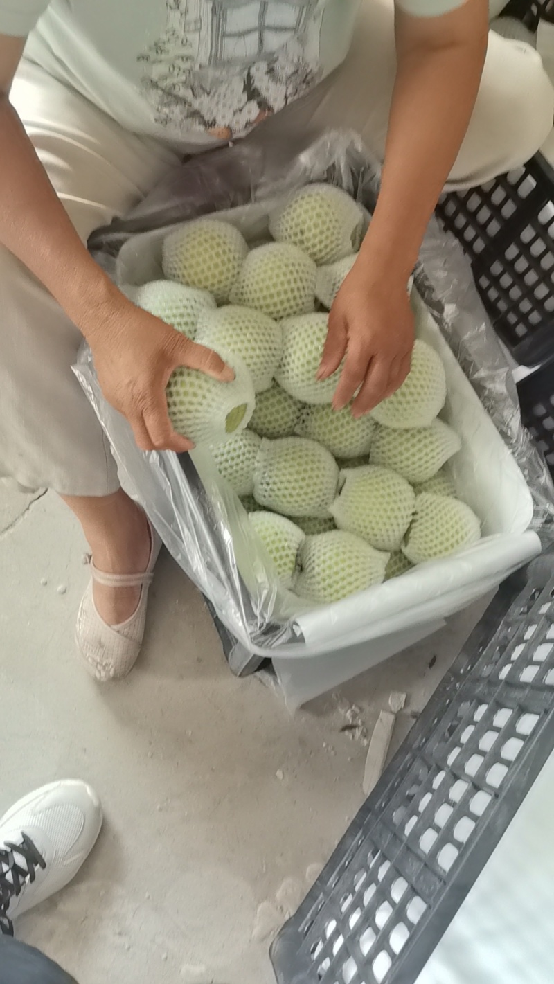 皇冠梨