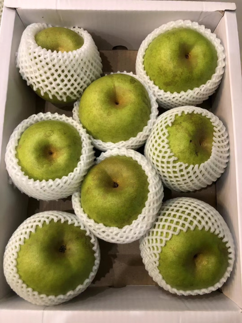 花皮翠玉梨砀山翠冠梨花皮梨