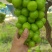 阳光