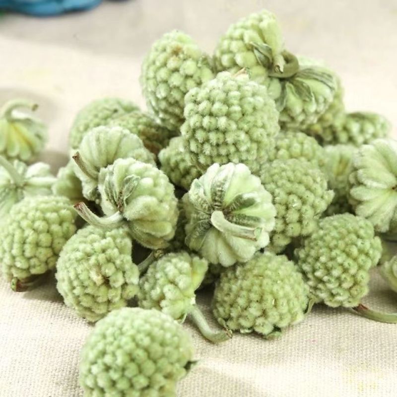 西藏绿萝花大朵绿箩花茶结香雪丽花茶绿萝花茶组合花茶泡水泡茶西