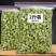 西藏绿萝花大朵绿箩花茶结香雪丽花茶绿萝花茶组合花茶泡水泡茶西