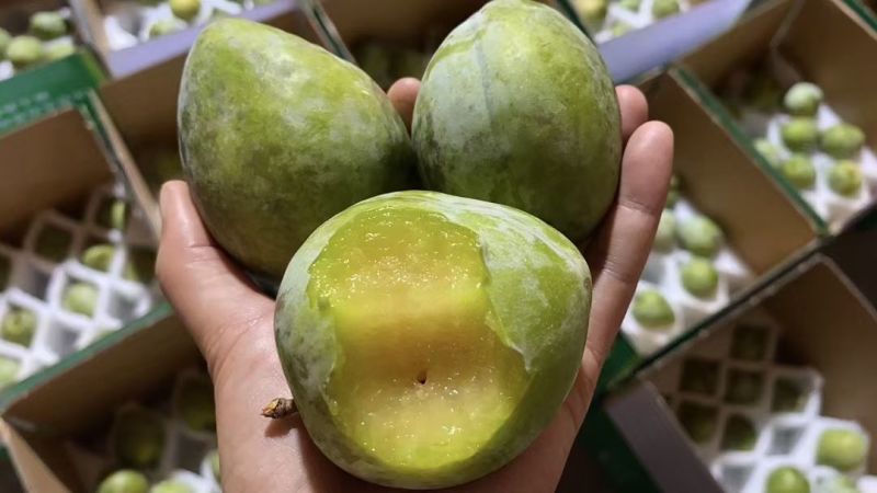 奈李，市场电商，大量上市，欢迎对接合作