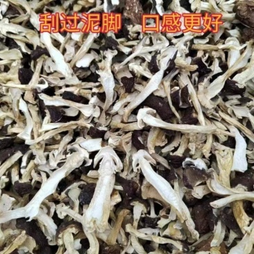 干松茸
