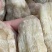 仿天麻，巴蕉玉