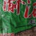黑毛肚千层黑千层丝整个黑毛肚大叶片厂家直供量大从优