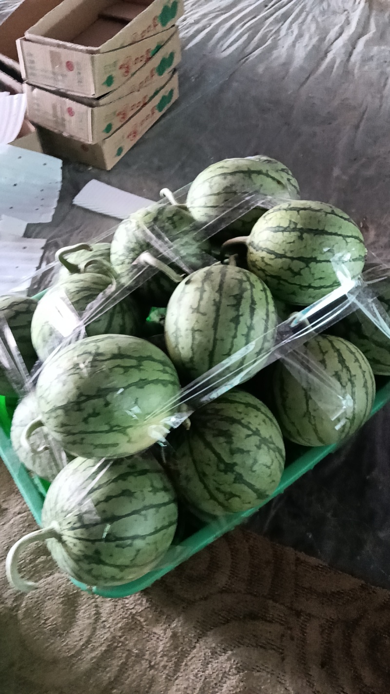 口口脆