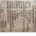 毛肚大叶片