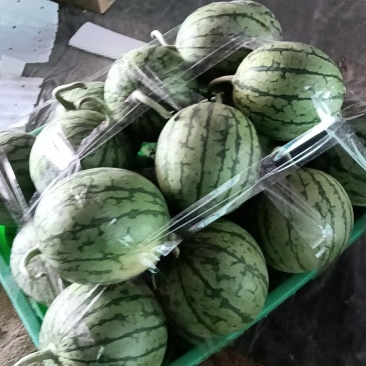 口口脆