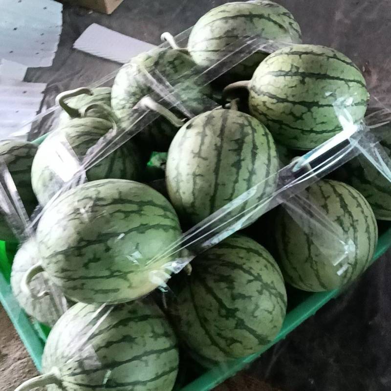 口口脆