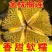 泰国金枕1级6头个个大皮球4到5房肉