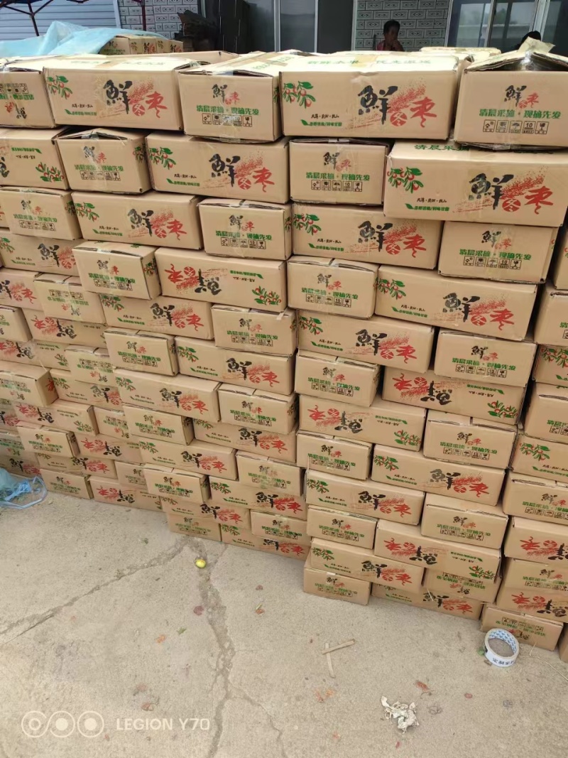 冬枣，地理标志产地直发对接团购电商直播一件代发