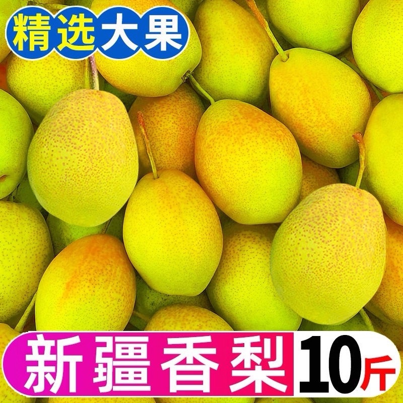 正宗新疆香梨红香酥10斤当季鲜果5斤，代发落地配大车
