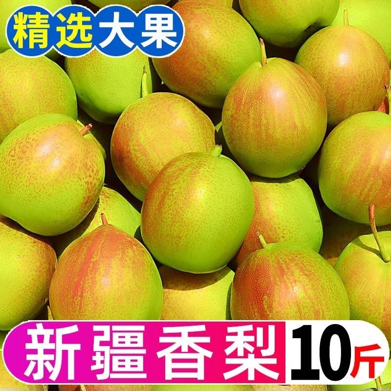 正宗新疆香梨红香酥10斤当季鲜果5斤，代发落地配大车