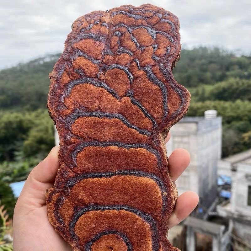 鸡血藤老藤广西鸡血滕中药材正品鸡血屯