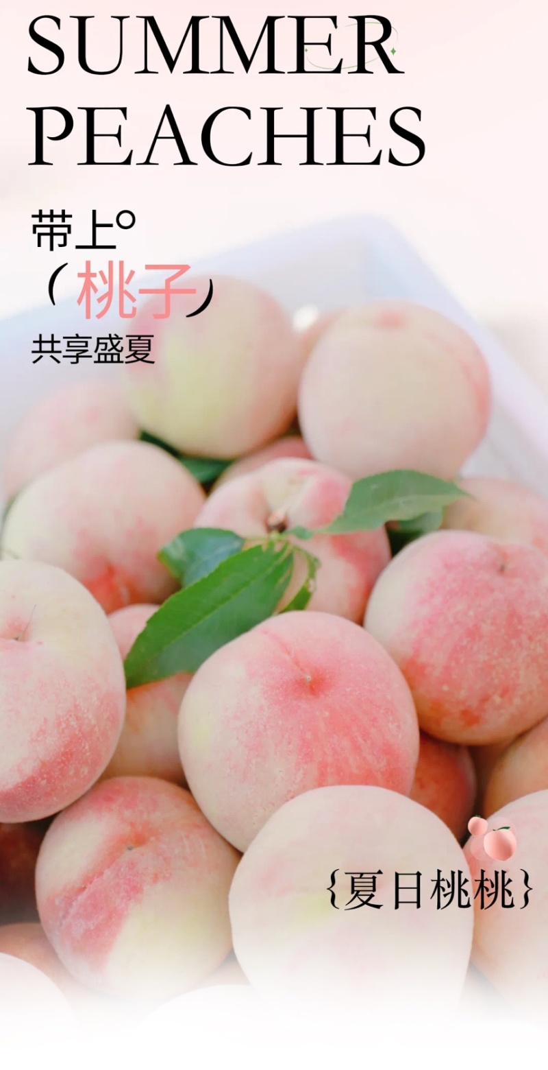 浙江精品3元一斤大果5两以上，一手货源，量大价优