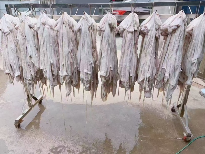 羊净肚免洗羔羊净肚一手货源