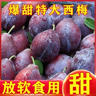 陕西甘肃西梅产地直供，一件代发，需要的联系