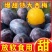 陕西甘肃西梅产地直供，一件代发，需要的联系