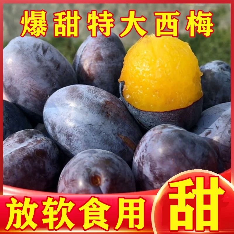 陕西甘肃西梅产地直供，一件代发，需要的联系