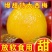 陕西甘肃西梅产地直供，一件代发，需要的联系