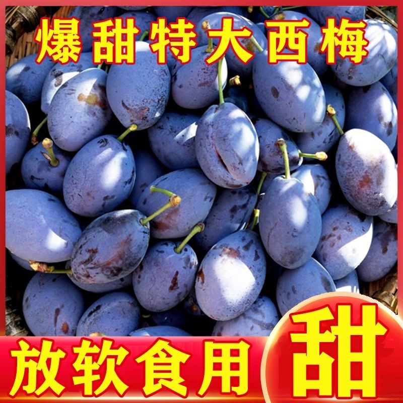 陕西甘肃西梅产地直供，一件代发，需要的联系