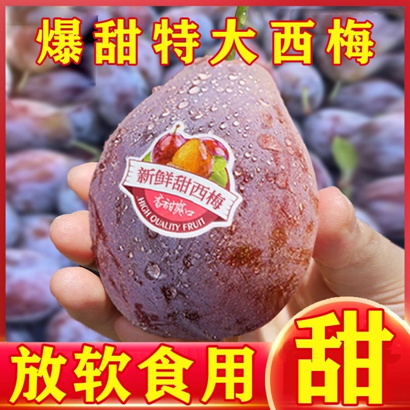 陕西甘肃西梅产地直供，一件代发，需要的联系