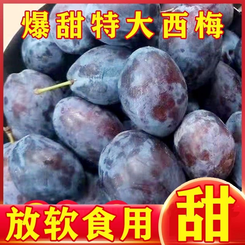 陕西甘肃西梅产地直供，一件代发，需要的联系