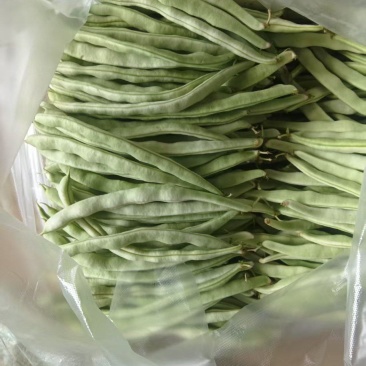 白豆，大量有货，价格便宜，需要的联系我