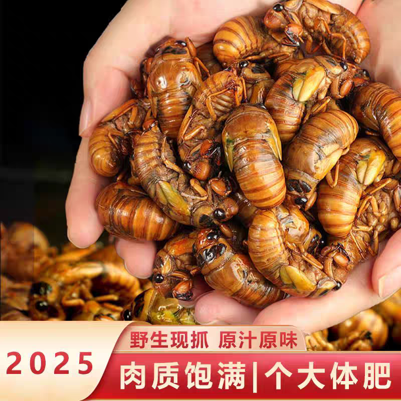 山东大金蝉，现货对接社区团购，对接各大电商，支持一件代发