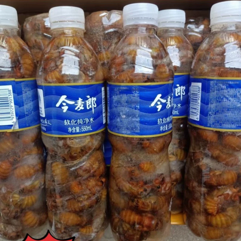 山东大金蝉，现货对接社区团购，对接各大电商，支持一件代发