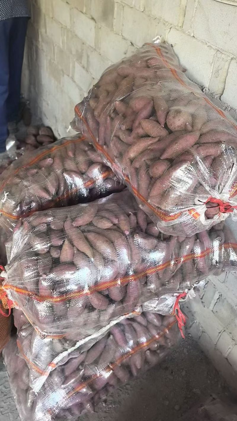 湖北龙九，紫薯33，西瓜红，原产地直发