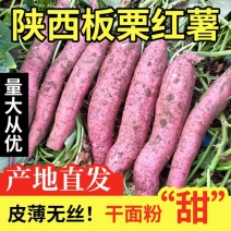 陕西板栗红薯大量供应中对接市场档口商超一条龙服务欢迎来电