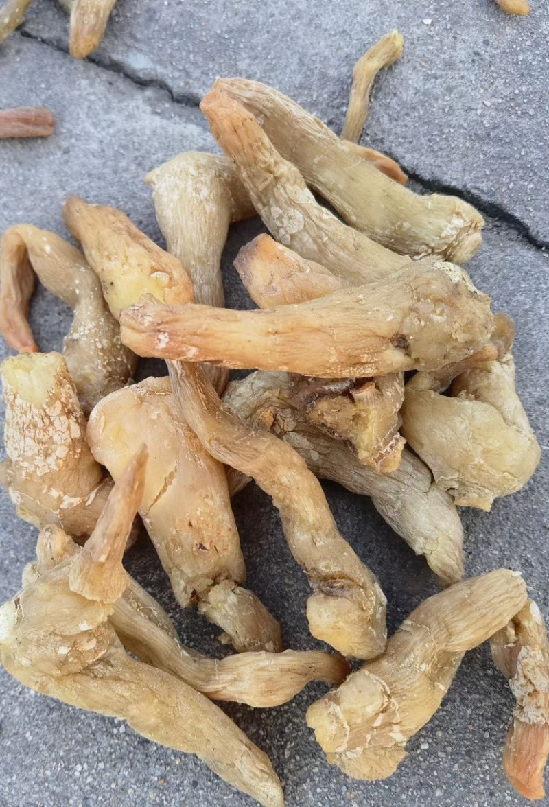 精品东北鸡头黄精，干货1.5厘米。一蒸一晒，自动化生产线